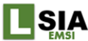 LSIA